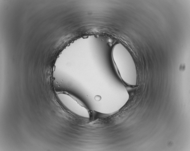 X0000094810423200711301556