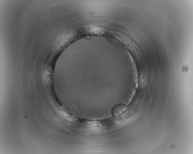 X0000094810424200711301556