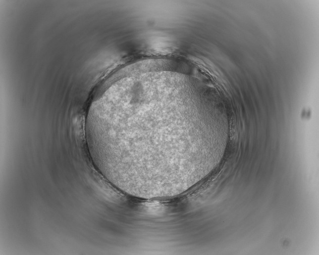 X0000094810425200711301556