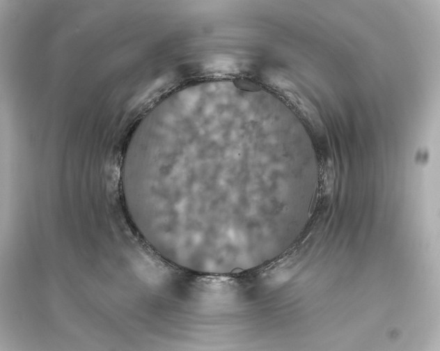 X0000094810427200711301556