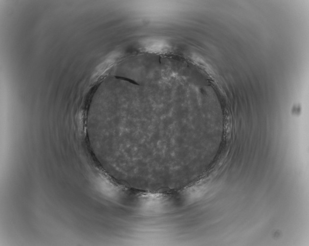 X0000094810428200711301556