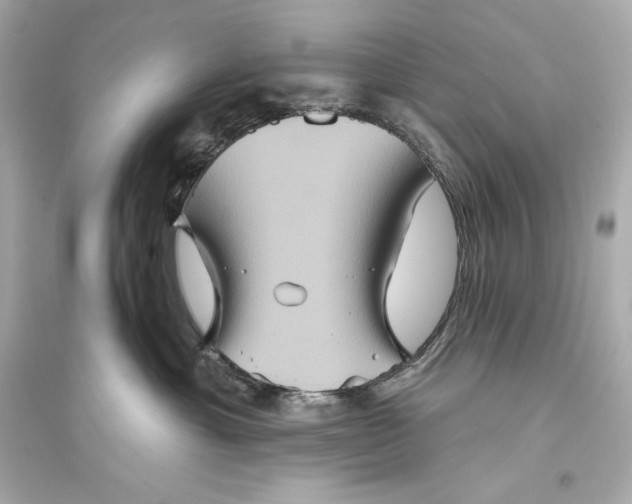 X0000094810429200711301556