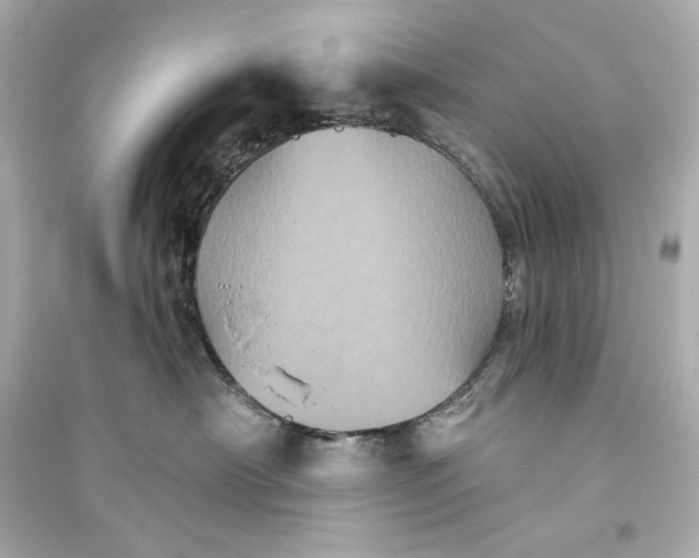 X0000094810430200711301556