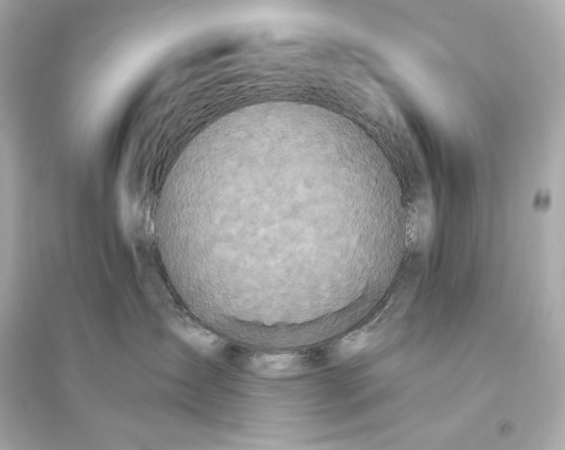 X0000094810431200711301555