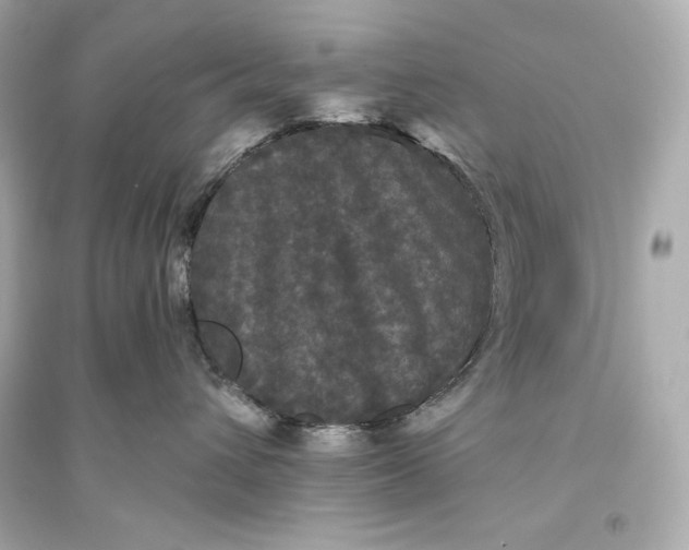 X0000094810432200711301555