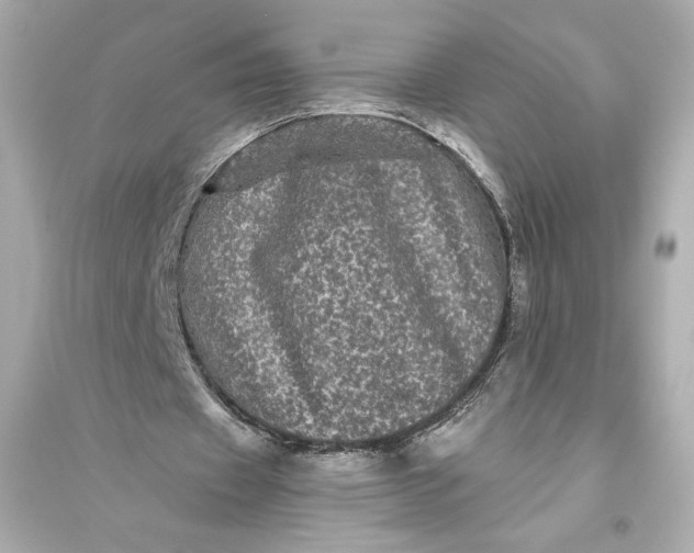 X0000094810433200711301555