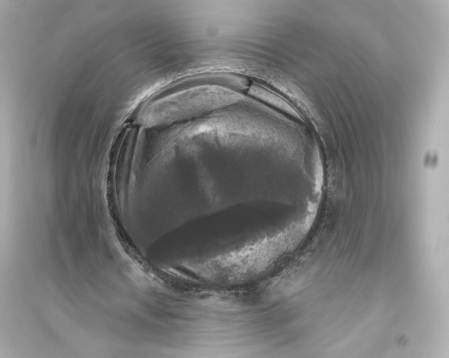 X0000094810434200711301555