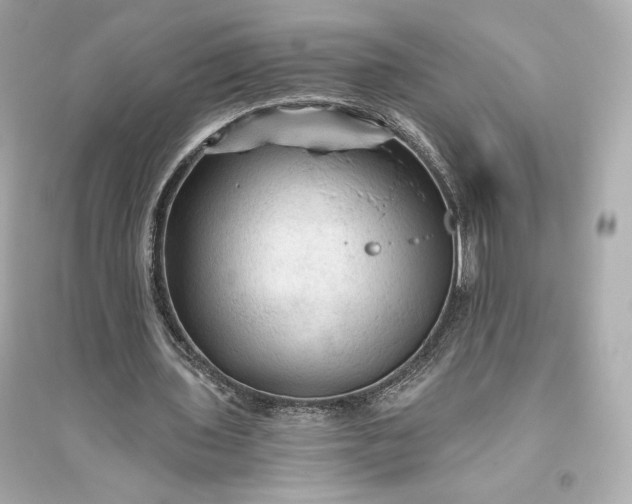 X0000094810435200711301555