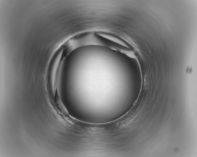 X0000094810436200711301555