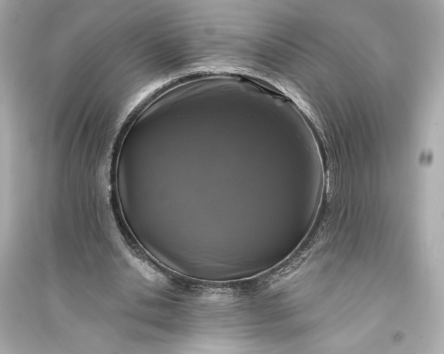 X0000094810438200711301555