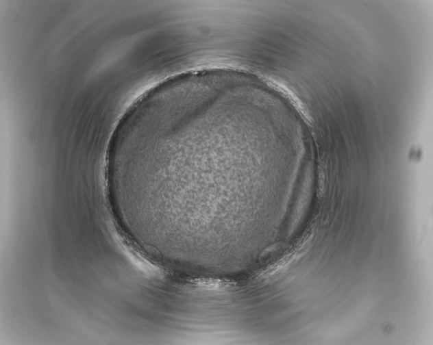 X0000094810439200711301555