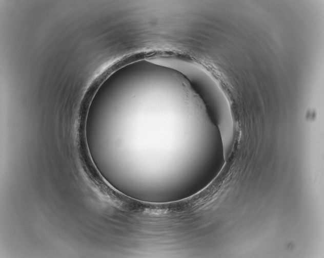 X0000094810440200711301555