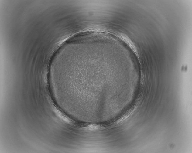 X0000094810441200711301555