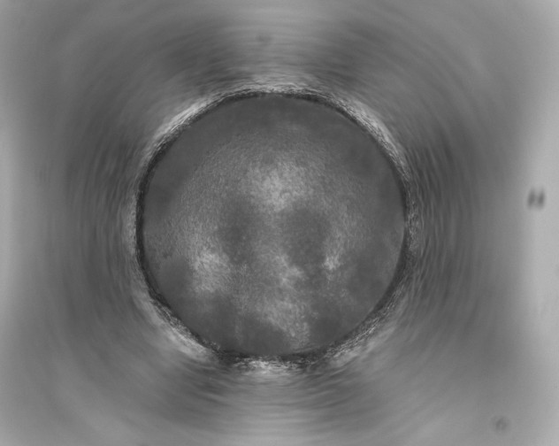 X0000094810442200711301555