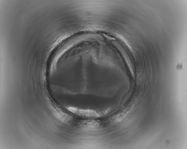 X0000094810443200711301555