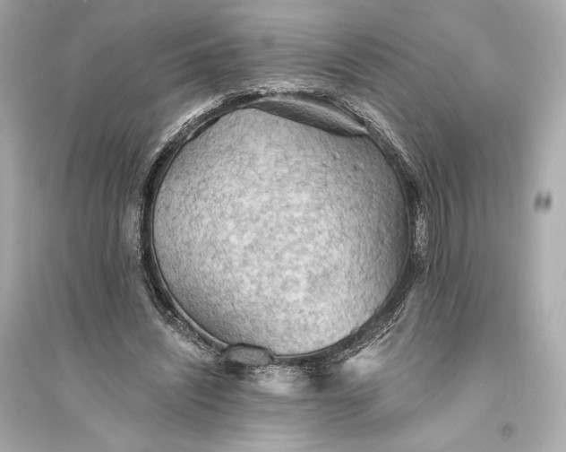 X0000094810444200711301555