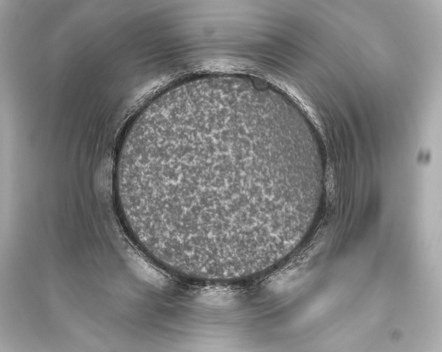 X0000094810445200711301555