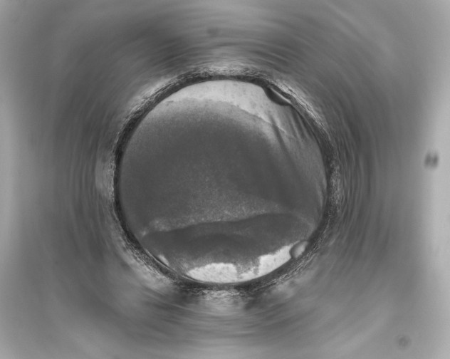 X0000094810446200711301555