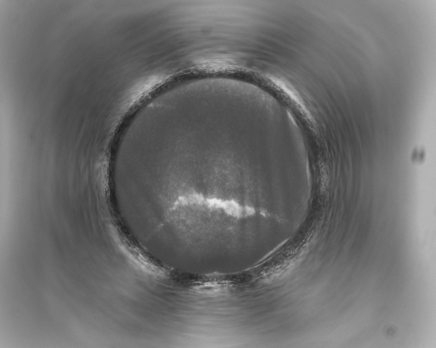 X0000094810447200711301555