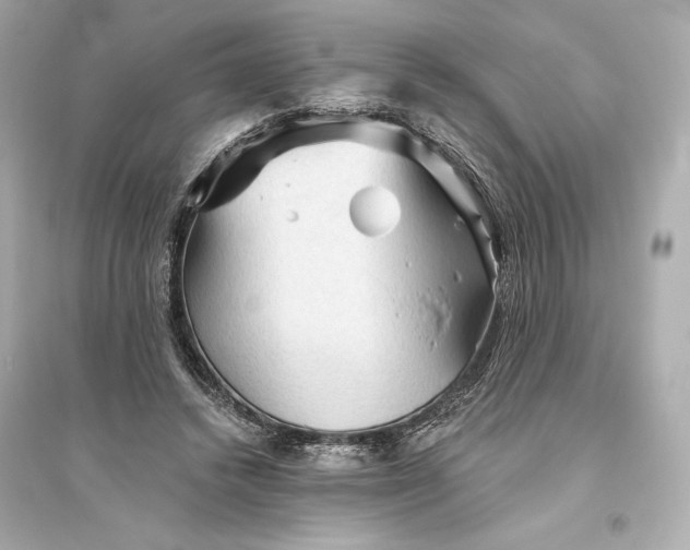 X0000094810448200711301555