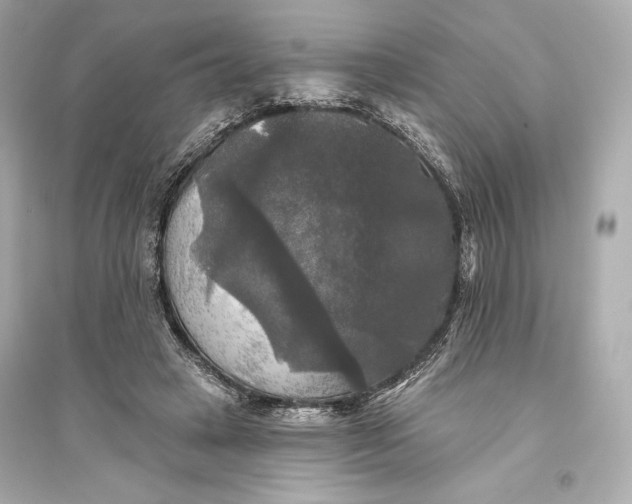 X0000094810449200711301555