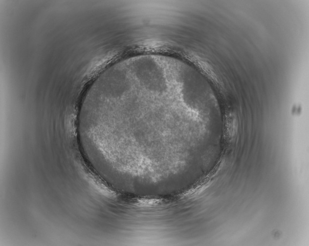 X0000094810450200711301555