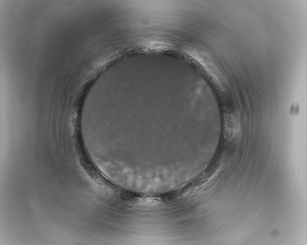 X0000094810451200711301555