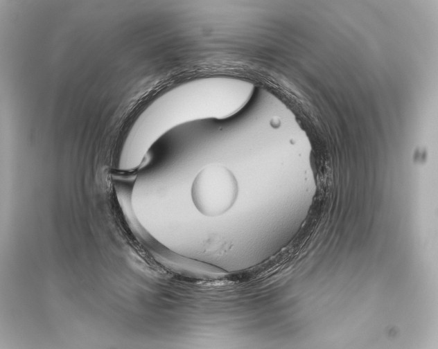 X0000094810452200711301555