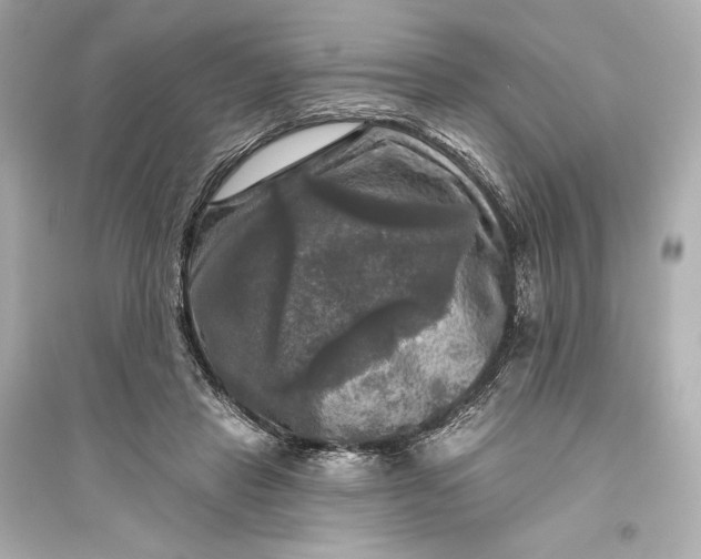 X0000094810453200711301555