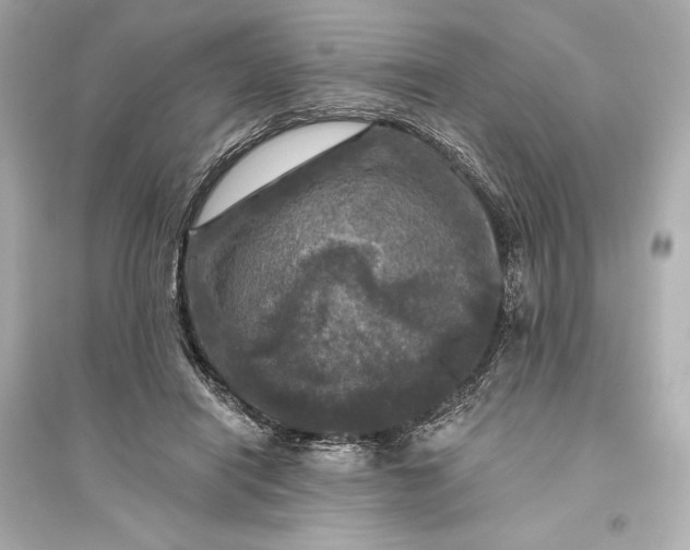 X0000094810454200711301555