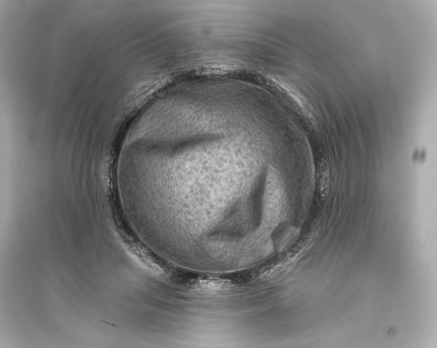 X0000094810455200711301555