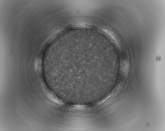 X0000094810457200711301555