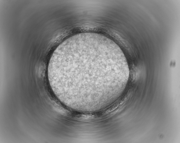 X0000094810458200711301555