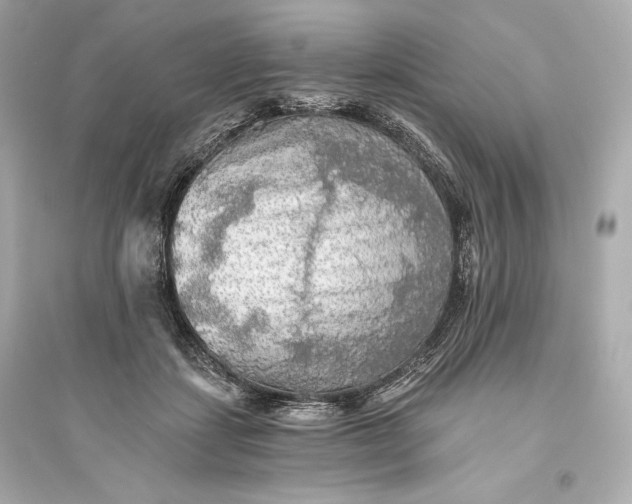 X0000094810459200711301555