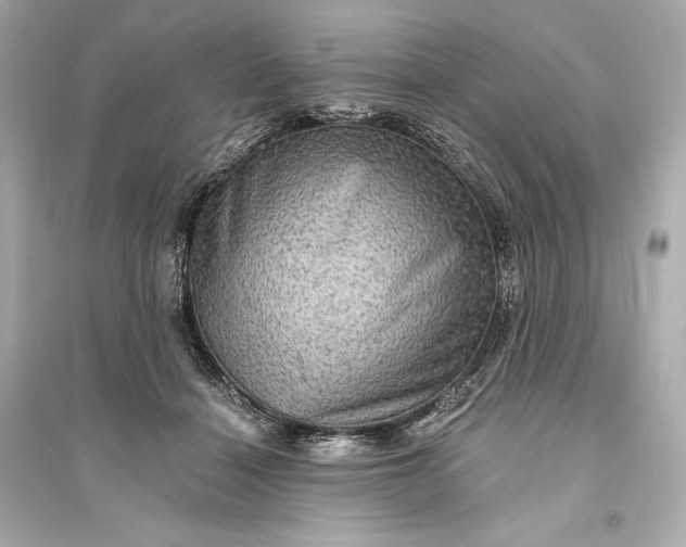 X0000094810460200711301555