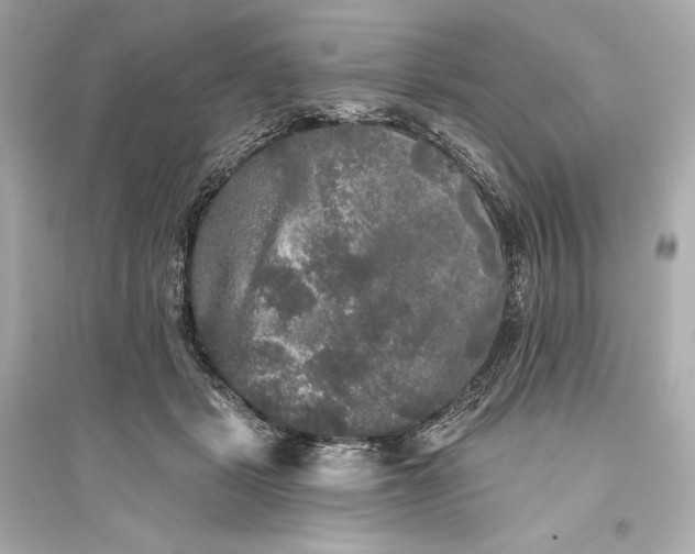 X0000094810461200711301555