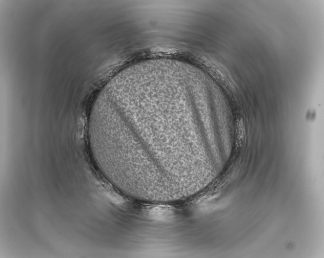 X0000094810463200711301555