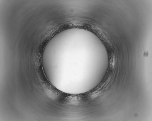 X0000094810464200711301555