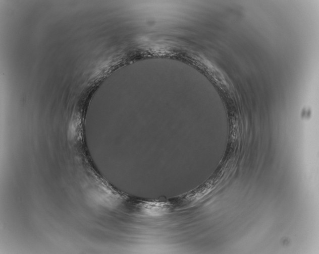 X0000094810465200711301555