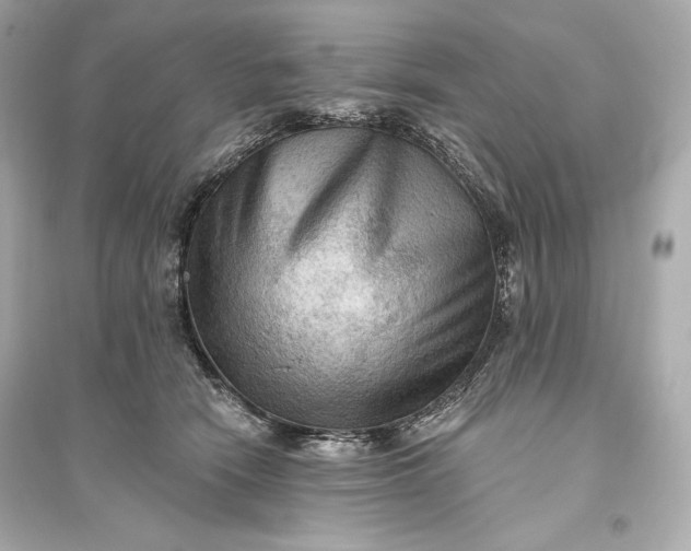 X0000094810466200711301555