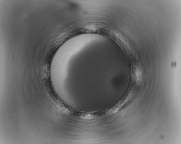 X0000094810467200711301555