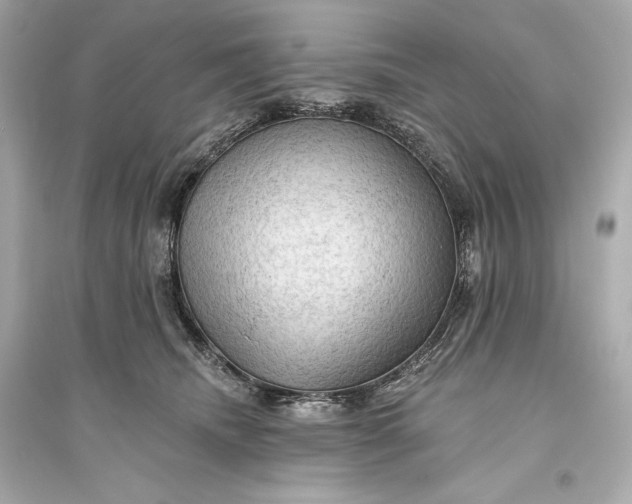 X0000094810468200711301555