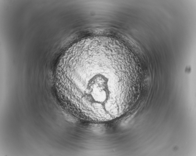 X0000094810469200711301555