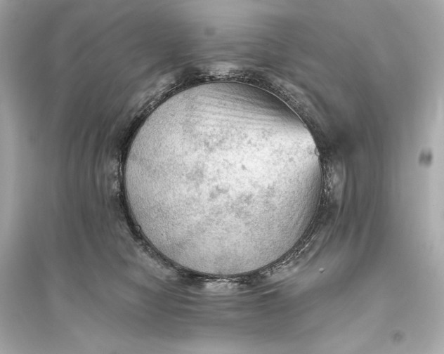 X0000094810470200711301555