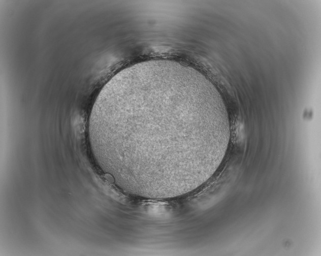 X0000094810472200711301555