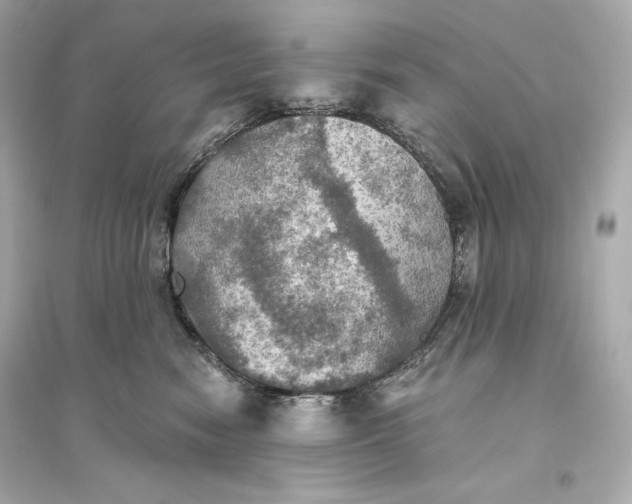 X0000094810474200711301555