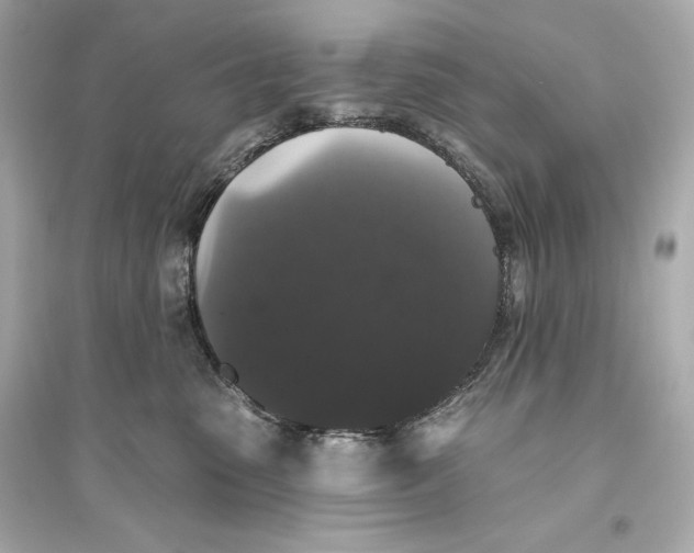 X0000094810475200711301555