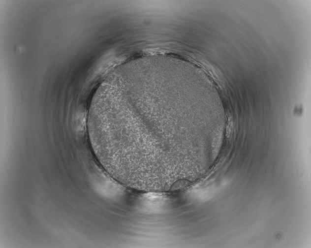 X0000094810477200711301555