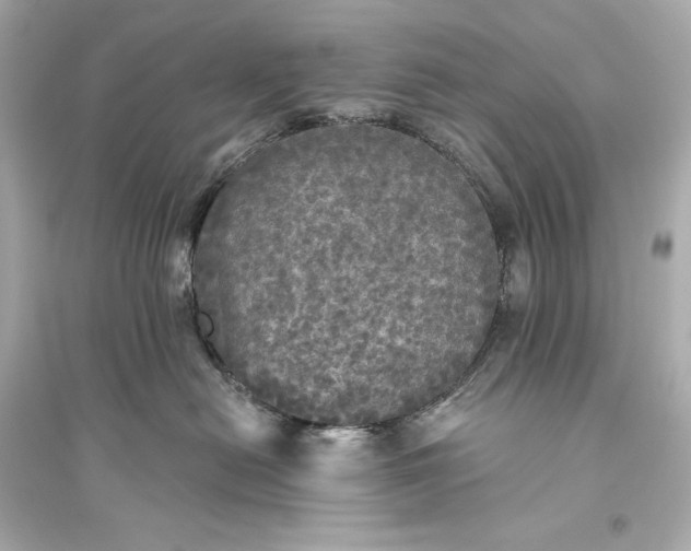 X0000094810478200711301555