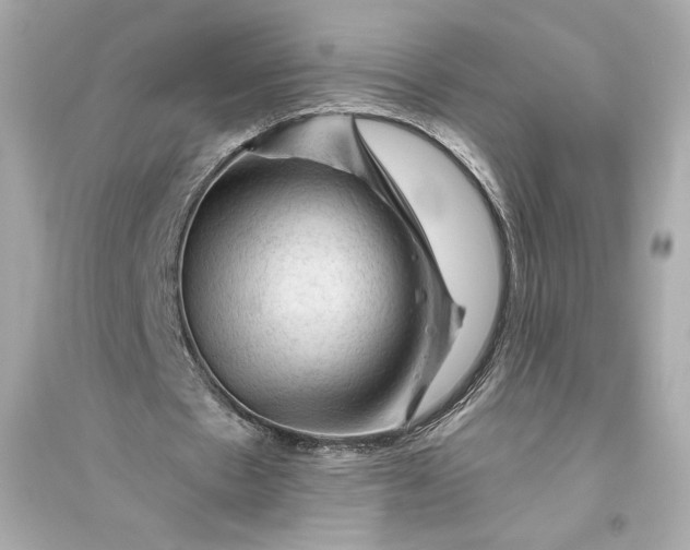 X0000094810481200711301555